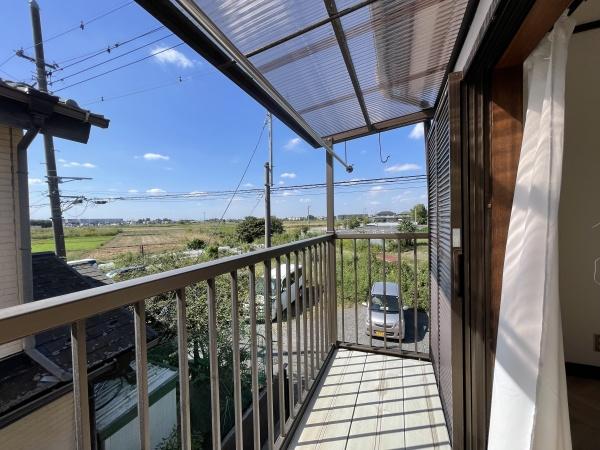 春と風のルピシア