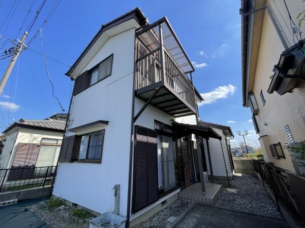 春と風のルピシア