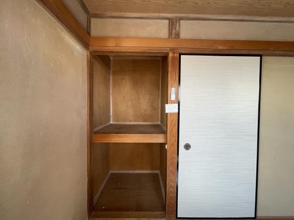 春と風のルピシア