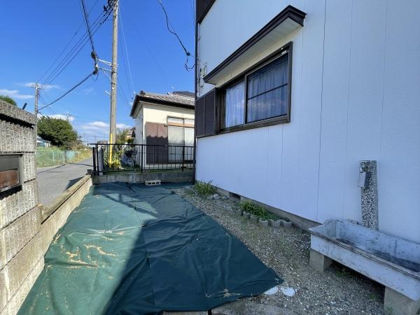 春と風のルピシア