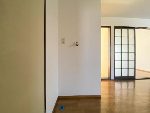 パラグレイスⅡ