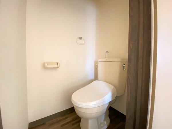 パラグレイスⅡ