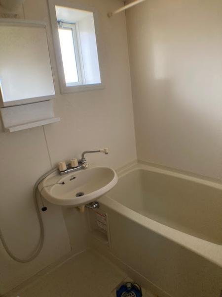 パラグレイスⅢ