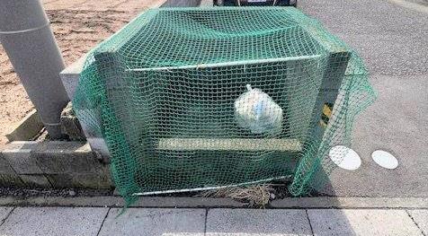 ミルキーハイツ