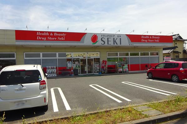 プレミールⅡ(ドラッグストアセキ栗橋店)