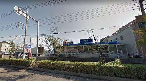 ディアス幸手(ビッグ・エー幸手東店)