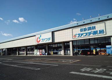 カタルピア(カワチ薬品加須店)