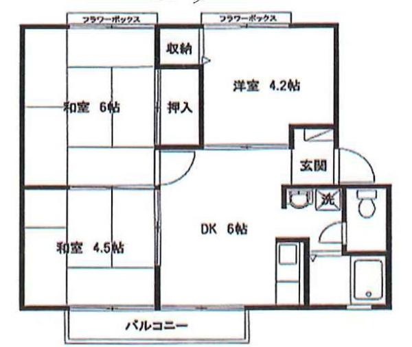 メゾンコージⅡ