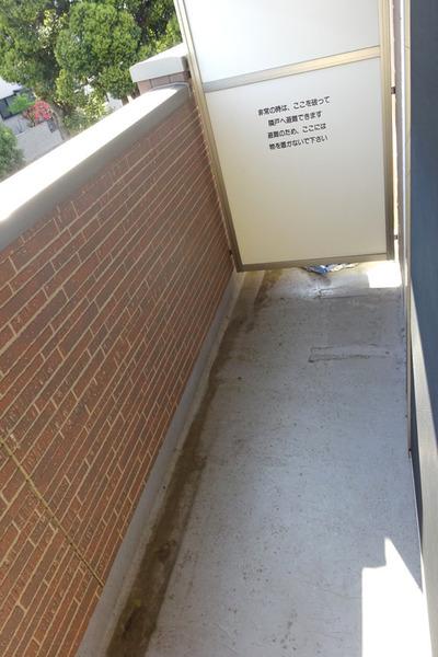 コスモスＢ