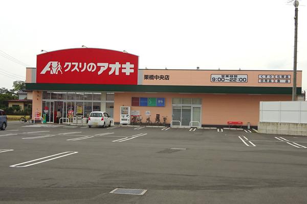 一戸建貸家(クスリのアオキ栗橋中央店)