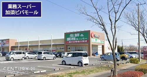 日新ハイツA棟(業務スーパー加須ビバモール店)