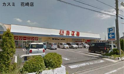 ライオンズガーデン花崎Ｅ棟(カスミ花崎店)