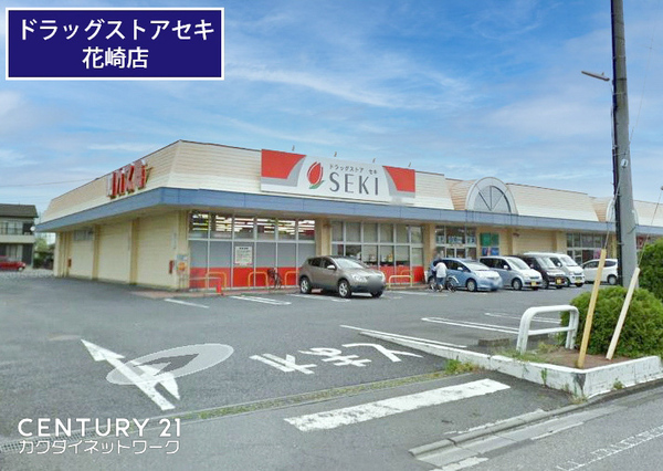 加須市南篠崎２丁目の貸家(ドラッグストアセキ花崎店)