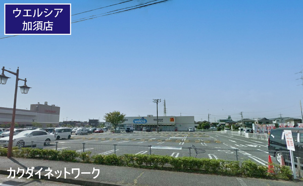 加須市土手貸家(ウエルシア加須店)