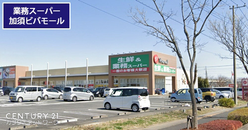 加須市久下６丁目の貸家(業務スーパー加須ビバモール店)