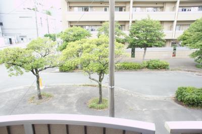 福岡市東区箱崎２丁目のマンション