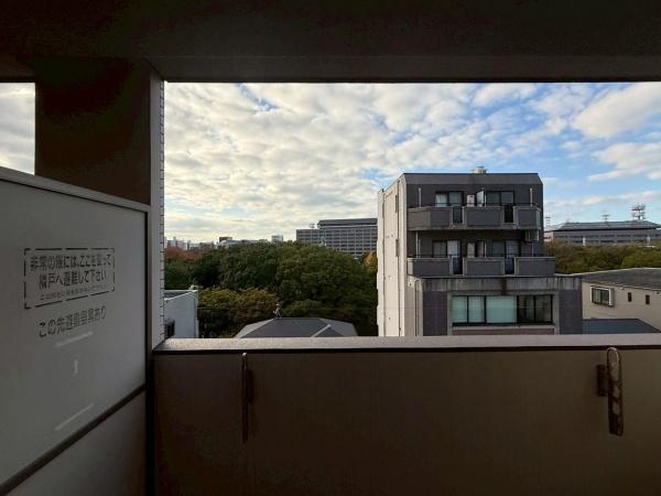 DavidLink東公園