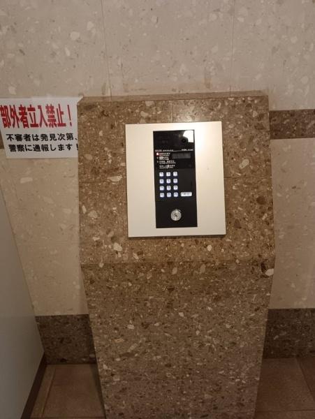 ハイネスエミュ２１