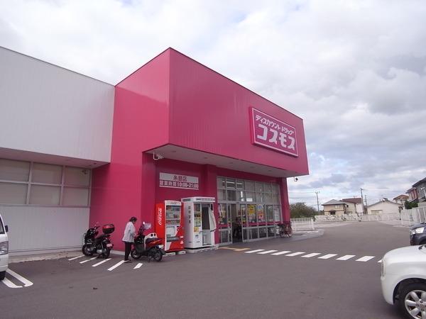 コーポラスチュチュ A棟(ディスカウントドラッグコスモス南風台店)
