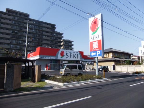 日勝堂ビル(ドラッグストアセキ)