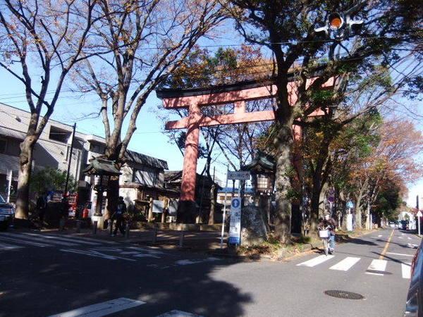 iZAMi(氷川神社)