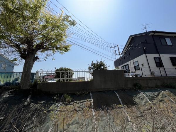 メゾン桜