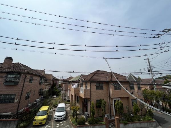 ヨーロピアンシャレーアルル