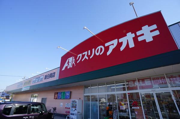 ルネグランテラス(クスリのアオキ)