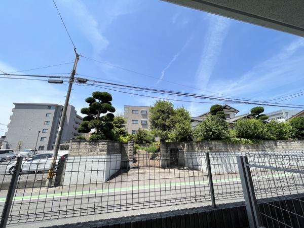 コンソラータ桜木