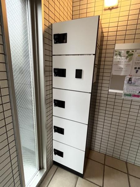 コンソラータ桜木