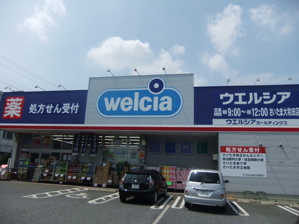 大和田町1丁目柳沢邸貸家(ウエルシアさいたま大和田店)