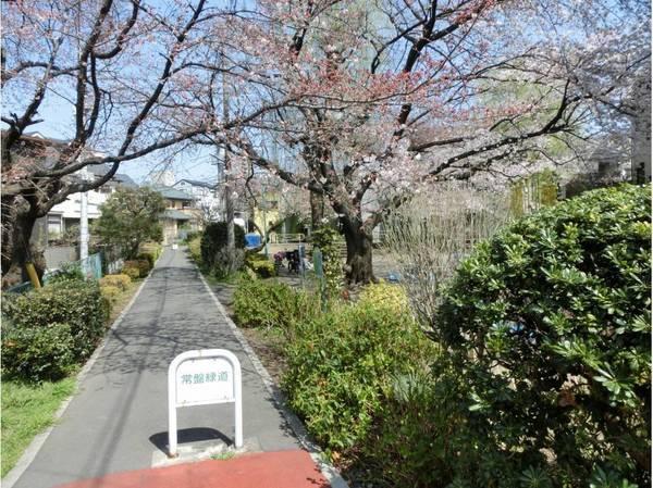 アネックス北浦和２期(常盤緑道)