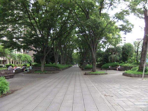 アバンティア(氷川参道)