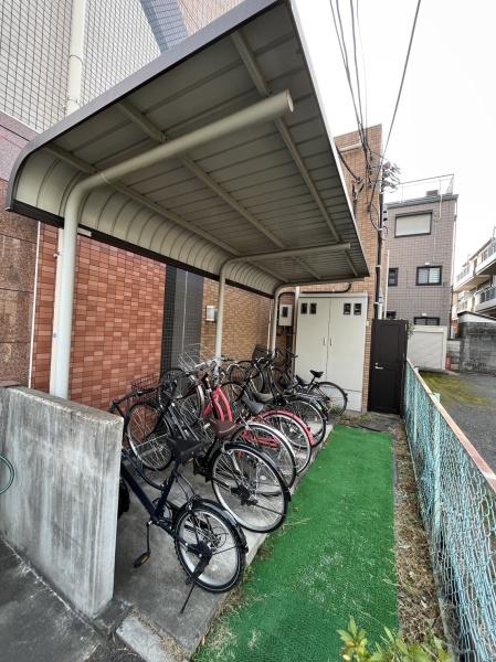エーデルワイス