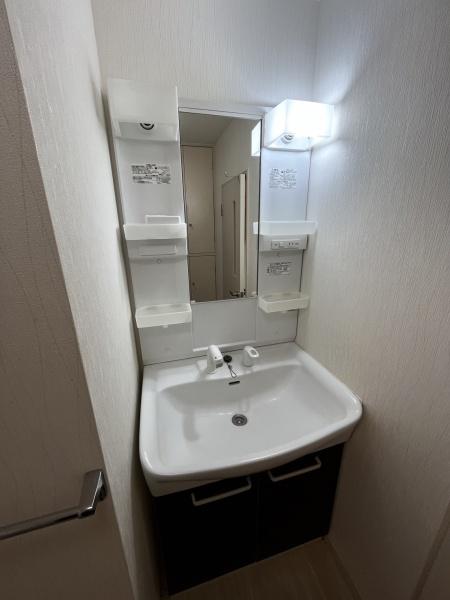 さいたま市見沼区東大宮1丁目のマンション(洗面台・洗面所)