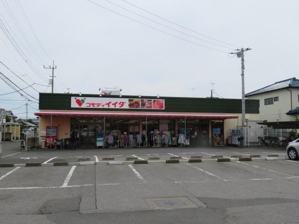 フォルトナート(コモディイイダ)