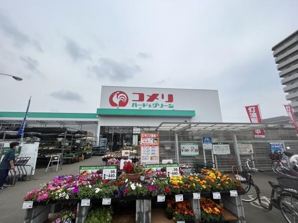 サニーサイドＫ-ＥＡＳＴ(コメリハード＆グリーン)