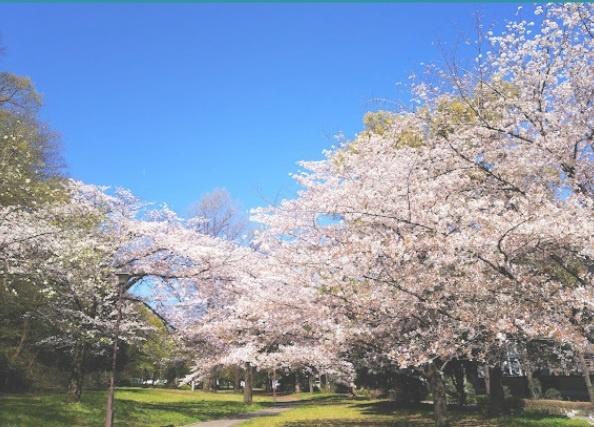 Ｂ．ＰＬＡＣＥ(赤塚公園)