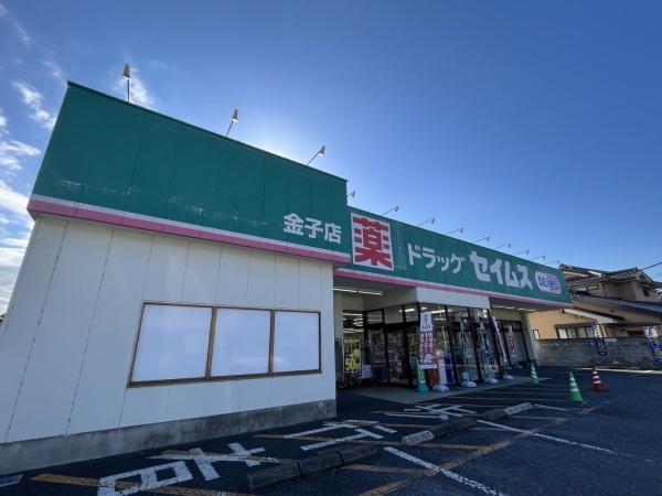 入間市金子中央戸建(ドラッグセイムス)