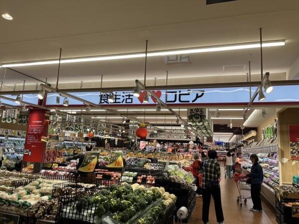 サニーサイドＫ-ＥＡＳＴ(ロピア)