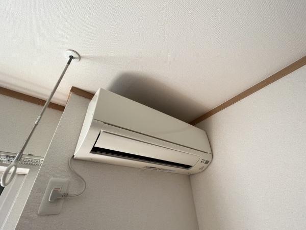 サンフィールド
