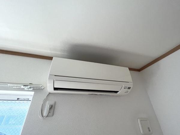サンフィールド