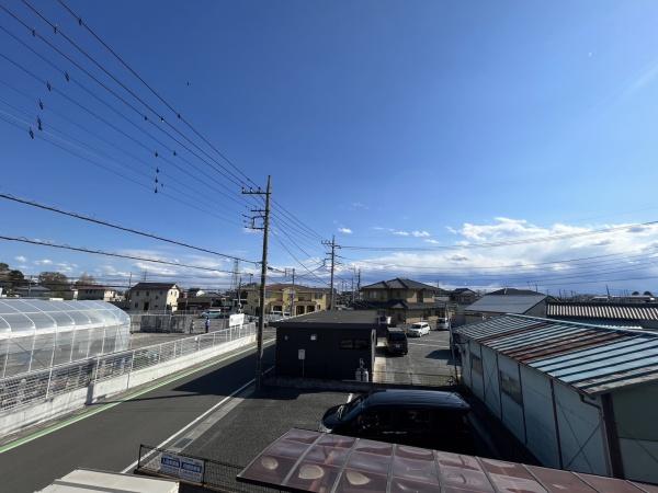 アムール　金谷