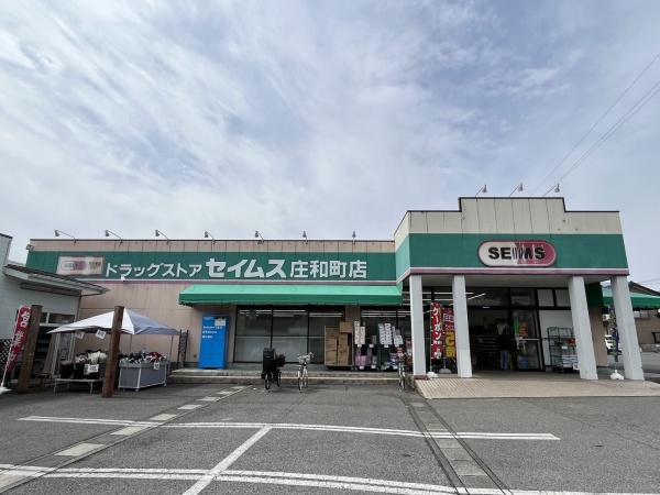 リーブルファイン南桜井２(ドラッグセイムス庄和町店)