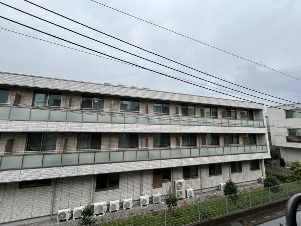 シュシュ