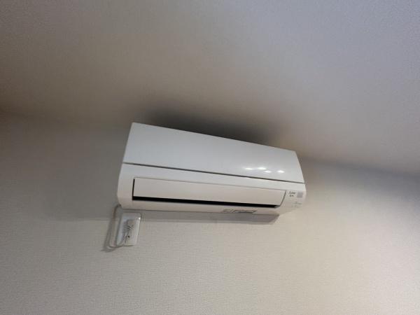 シュシュ