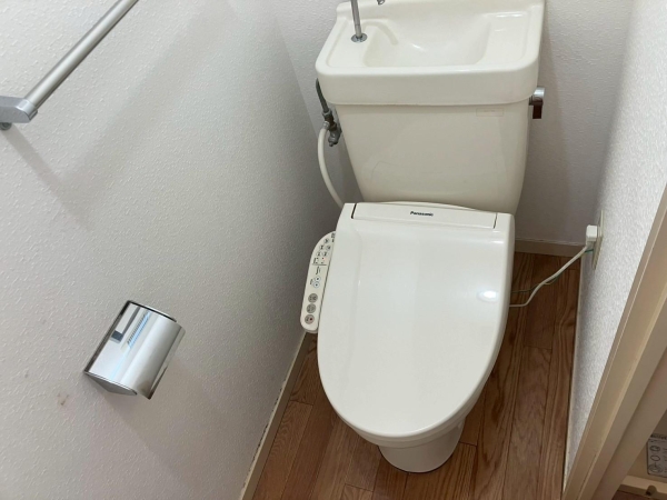 シャトラン白鷺II