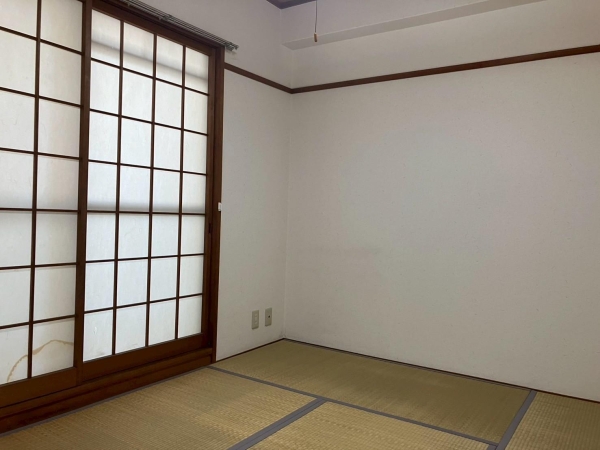 シャトラン白鷺II