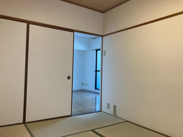シャトラン白鷺II