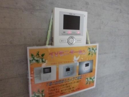 レーベン　パディー